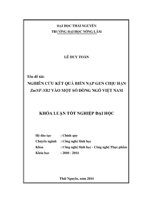 Nghiên cứu biến nạp gen chịu hạn Zmnf Yb2 vào dòng ngô