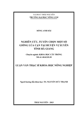Nghiên cứu giống lúa cạn tại huyện Vị Xuyên, Hà Giang