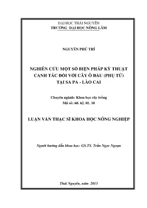 Kỹ Thuật Canh Tác Cây Ô Đầu Phụ Tử Tại Sa Pa Lào Cai