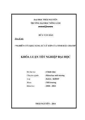 Nghiên cứu khả năng xử lý xốp của tinh dầu chanh