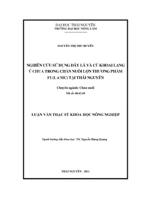 Nghiên cứu sử dụng dây lá và củ khoai lang ủ chua trong