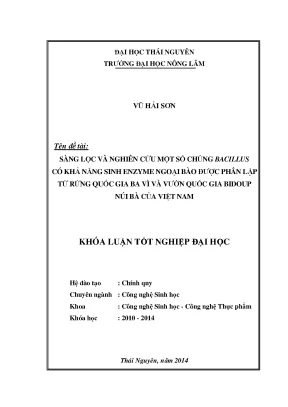 Nghiên cứu và sàng lọc chủng Bacillus sinh enzyme ngoại