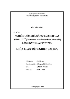 Nghiên cứu khả năng tái sinh cây khoai từ bằng kỹ thuật