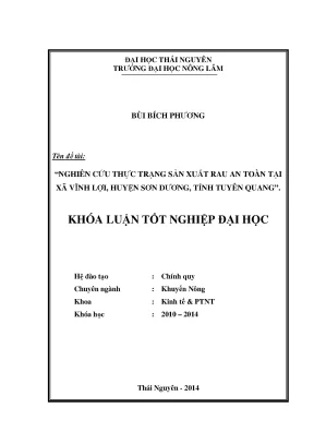 Nghiên cứu sản xuất rau an toàn tại xã Vĩnh Lợi, huyện