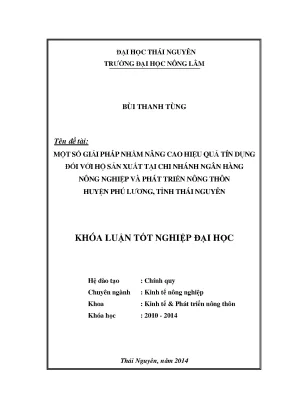 Giải pháp nâng cao hiệu quả tín dụng cho hộ sản xuất tại