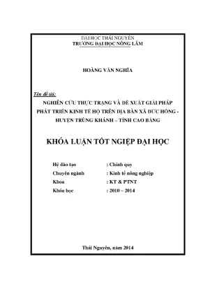Nghiên cứu thực trạng và giải pháp phát triển kinh tế hộ