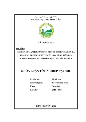 Phân bón lá cho hoa đồng tiền lùn & Kỹ thuật trồng chậu