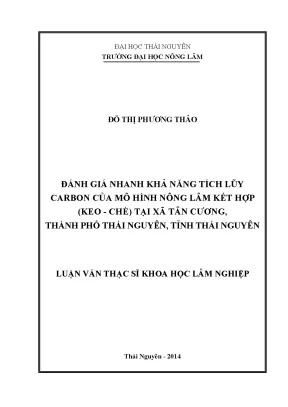 Đánh Giá Nhanh Khả Năng Tích Lũy Carbon Trong Mô Hình