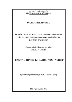 Nghiên cứu khả năng sinh trưởng của giống ngô nếp lai