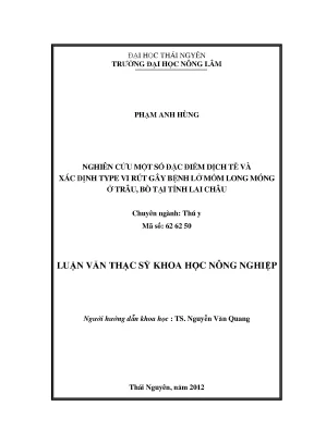 Nghiên cứu đặc điểm dịch tễ và xác định type virus gây