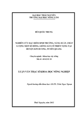 Nghiên cứu năng suất và chất lượng giống sắn tại Sơn