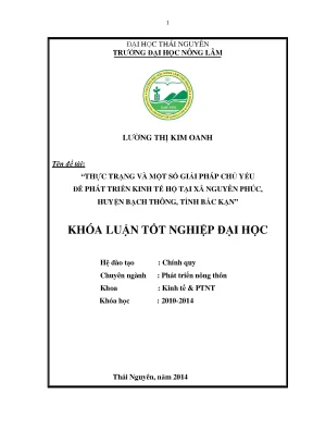 Giải pháp phát triển kinh tế hộ tại xã Nguyên Phúc,
