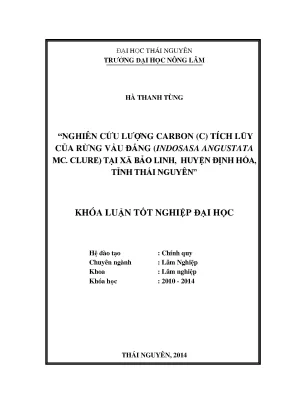 Nghiên cứu lượng carbon trong rừng vầu đắng Indosasa