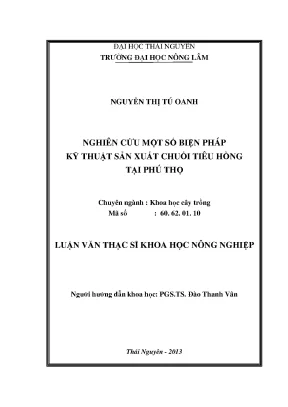 Kỹ Thuật Sản Xuất Chuối Tiêu Hồng Tại Phú Thọ: Nghiên