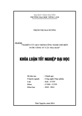 Luận Văn Thạc Sĩ: Quy Trình Công Nghệ Chế Biến Nước Uống