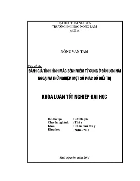 Đánh giá bệnh viêm tử cung ở lợn nái ngoại và phác đồ