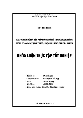 Biện pháp hiệu quả phòng trừ mối hại rừng keo acacia tại