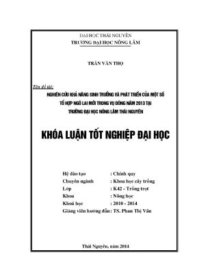 Nghiên cứu khả năng sinh trưởng của tổ hợp ngô lai mới