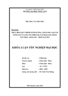 Quy Trình Nuôi Dưỡng Lợn Nái Và Lợn Con Theo Mẹ Tại Trại