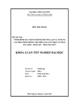 Luận Văn Thạc Sĩ: Tình Hình Bệnh Thường Gặp Và Biện Pháp