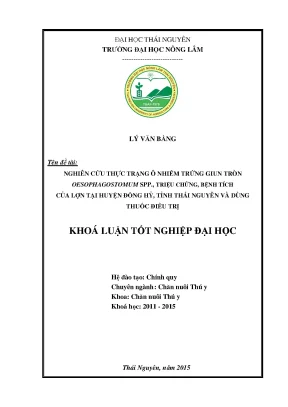 Nghiên cứu ô nhiễm trứng giun Oesophagostomum spp và
