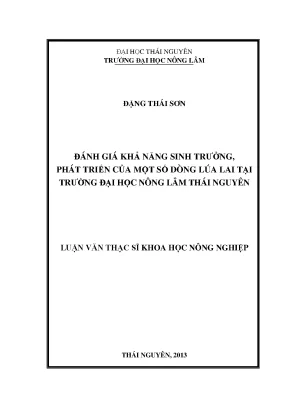 Đánh giá khả năng sinh trưởng của các dòng lúa lai tại