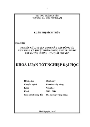 Nghiên cứu tuyển chọn cây đầu dòng và kỹ thuật nhân