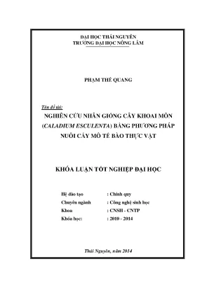 Nghiên cứu nhân giống cây khoai môn caladium esculenta
