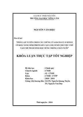 Nghiên cứu Bacillus subtilis sinh protease cao cho chế