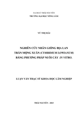 Nghiên cứu nhân giống địa lan trần mộng xuân cymbidium