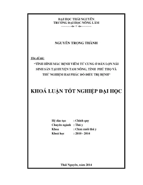 Nghiên cứu viêm tử cung ở lợn nái tại Tam Nông, Phú Thọ