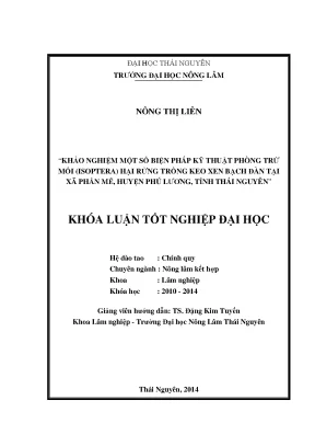 Biện pháp phòng trừ mối hại rừng trồng keo và bạch đàn