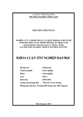 Nghiên cứu ảnh hưởng của IBA đến khả năng nhân giống cây