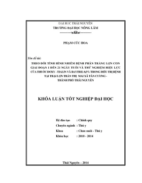 Theo dõi và điều trị bệnh phân trắng lợn con 1-21 ngày