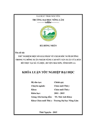Thử nghiệm giải pháp chăm sóc nuôi dưỡng đàn bò thịt vụ