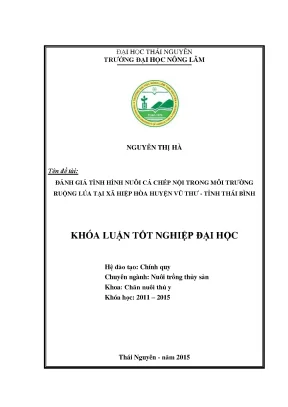 Đánh giá hiệu quả nuôi cá chép nội trong ruộng lúa tại 