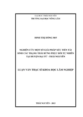 Giải Pháp Xúc Tiến Tái Sinh Rừng Phục Hồi Tự Nhiên Tại