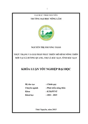 Thực Trạng Và Giải Pháp Phát Triển Mô Hình Nông Thôn Mới