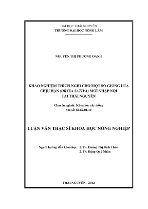 Khảo Nghiệm Thích Nghi Các Giống Lúa Chịu Hạn Oryza