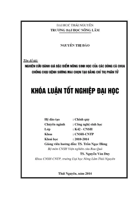 Nghiên cứu đặc điểm nông sinh học dòng cà chua kháng