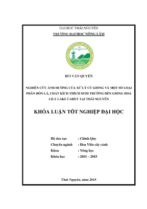 Nghiên cứu ảnh hưởng của xử lý củ giống và phân bón lá 