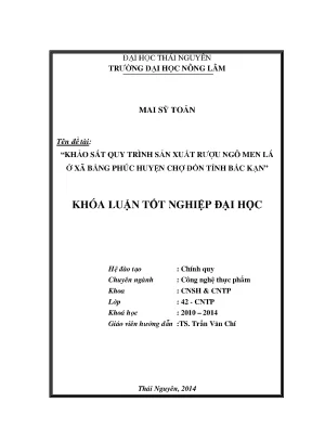 Luận Văn Thạc Sĩ: Quy Trình Sản Xuất Rượu Ngô Men Lá Tại