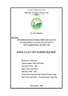 Nghiên cứu bệnh sản khoa trên lợn nái tại công ty CP Mỹ