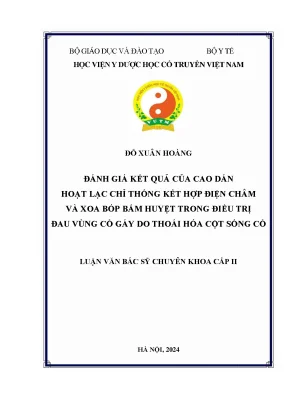 Cao Dán Hoạt Lạc Chỉ Thống, Điện Châm, Xoa Bóp Bấm Huyệt