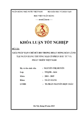 Giải Pháp Hạn Chế Rủi Ro Trong Hoạt Động Bảo Lãnh Tại