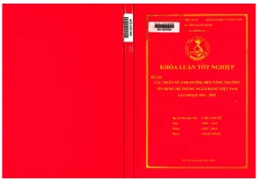 Các Nhân Tố Ảnh Hưởng Đến Tăng Trưởng Tín Dụng Ngân Hàng