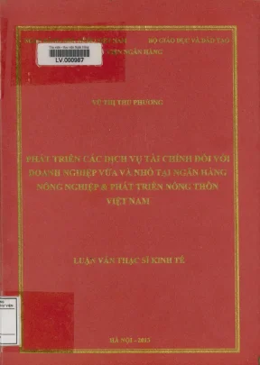 Phát Triển Dịch Vụ Tài Chính Cho Doanh Nghiệp Vừa Và Nhỏ