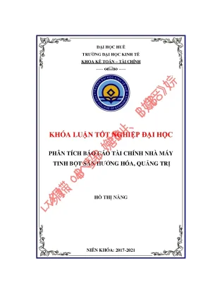 Phân Tích Báo Cáo Tài Chính Nhà Máy Tinh Bột Sắn Hướng