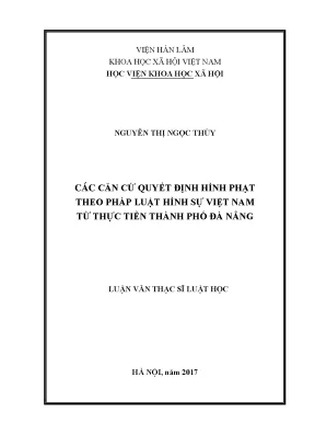 Căn Cứ Quyết Định Hình Phạt Theo Pháp Luật Hình Sự Việt