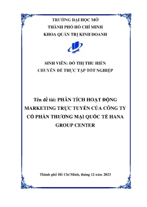 Phân Tích Hoạt Động Marketing Trực Tuyến Của Hana Group